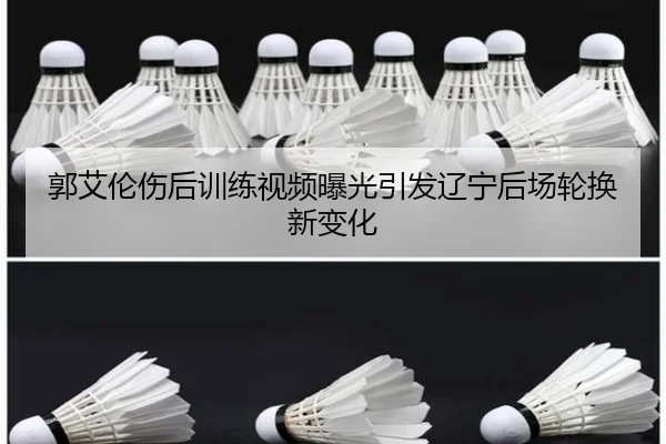 郭艾伦伤后训练视频曝光引发辽宁后场轮换新变化